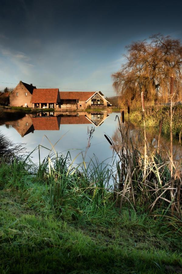 Gite De L'Etang Frasnes-lez-Anvaing Exterior foto